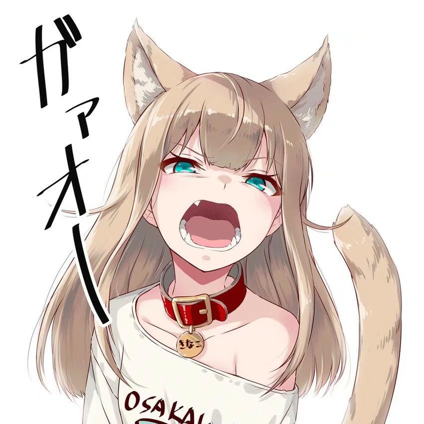 猫物语（白）第02集