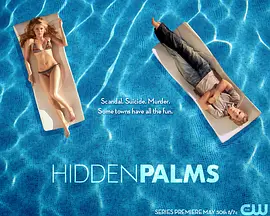 棕榈镇疑云第01集