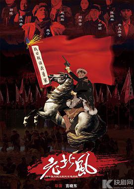 义勇义勇第30集(大结局)