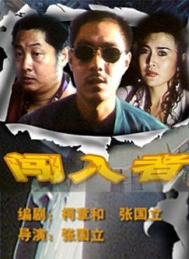 闯入者(1993)