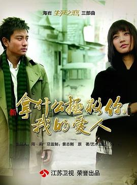 拿什么拯救你，我的爱人（2011）第33集(大结局)