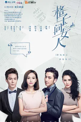 格子间女人第14集