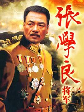 张学良将军第28集
