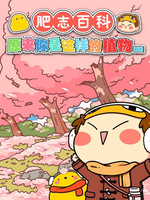 肥志百科 原来你是这样的植物篇第01集