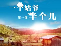 一个姑爷半个儿 第一部第41集