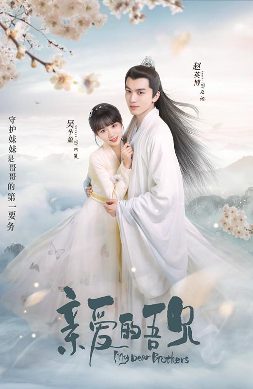 亲爱的吾兄越南语版第12集