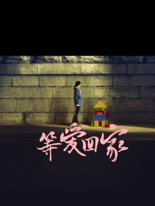 等爱回家第13集