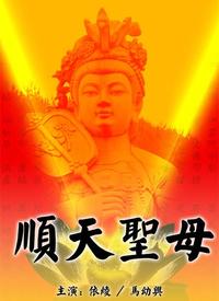 顺天圣母第02集