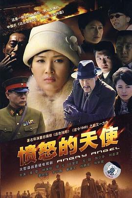 愤怒的天使第25集