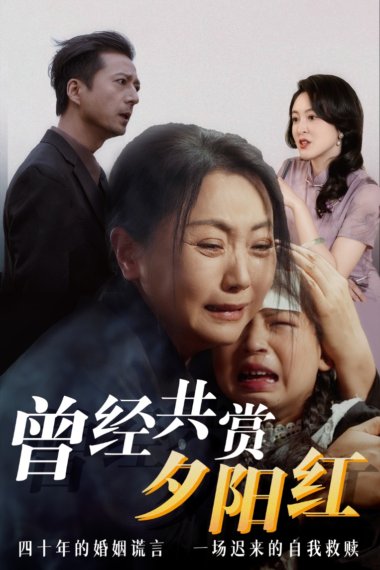 曾经共赏夕阳红第01-30集