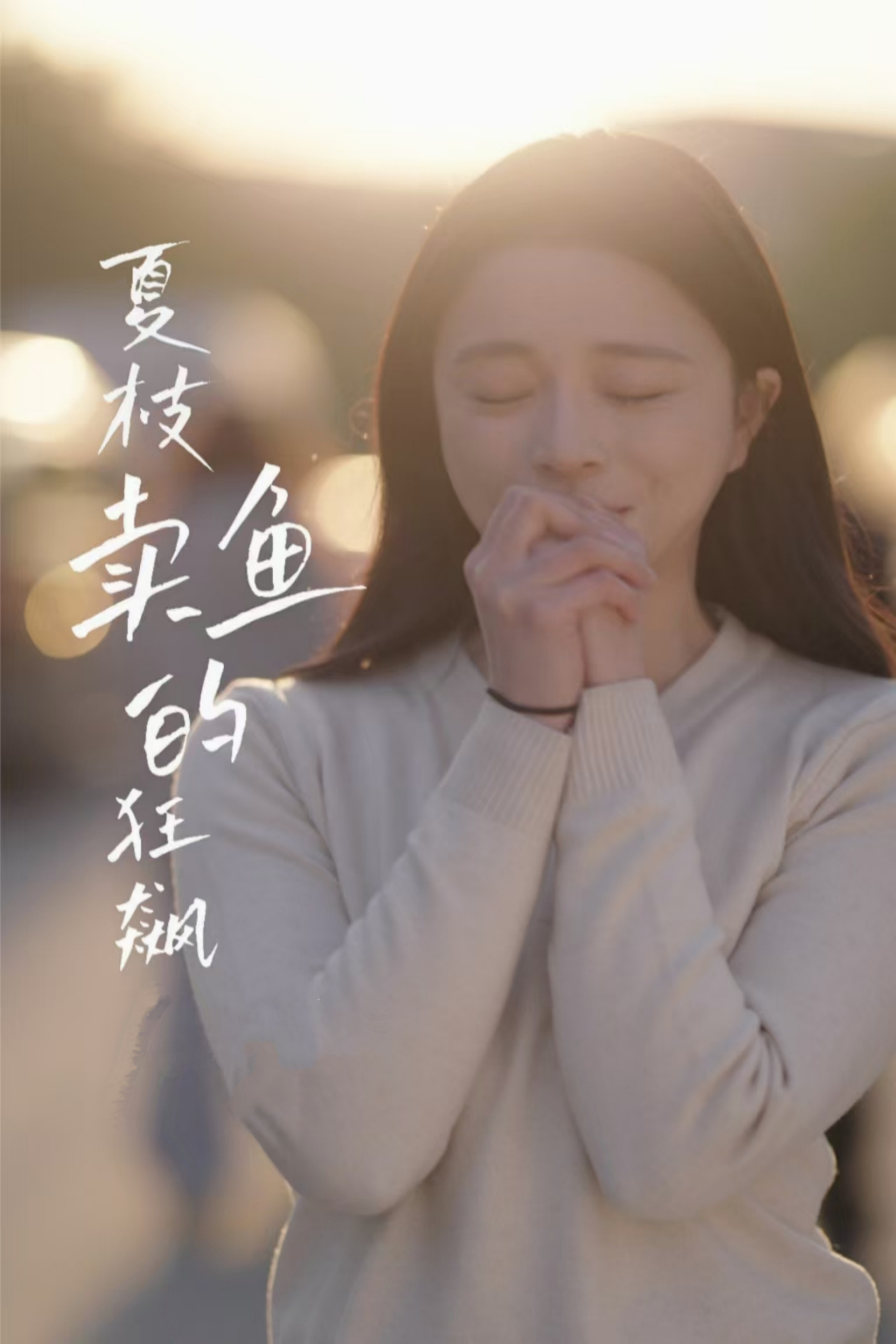 夏枝卖鱼的狂飙第01-30集