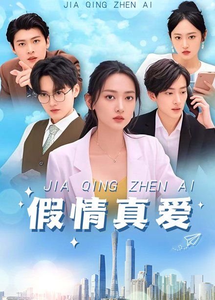 假情真爱第061-090集