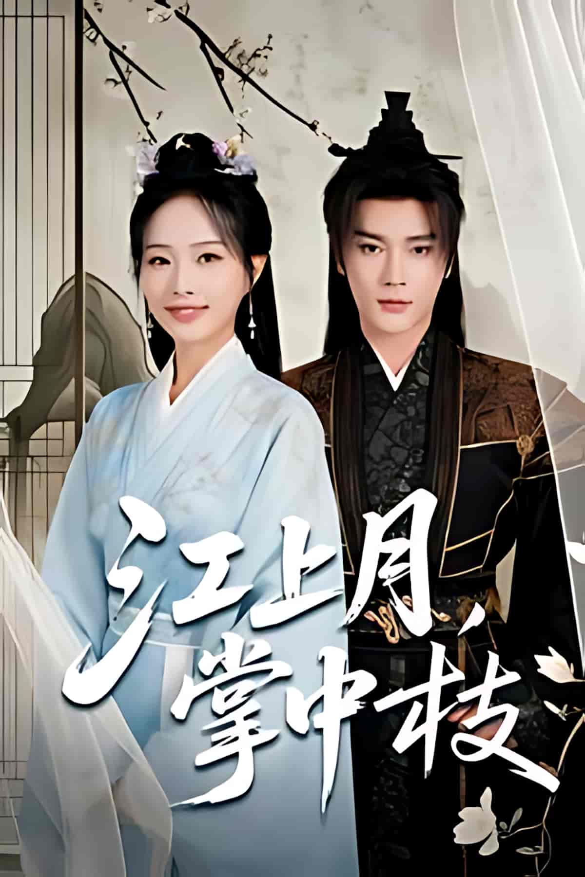 江上月掌中枝第01-30集