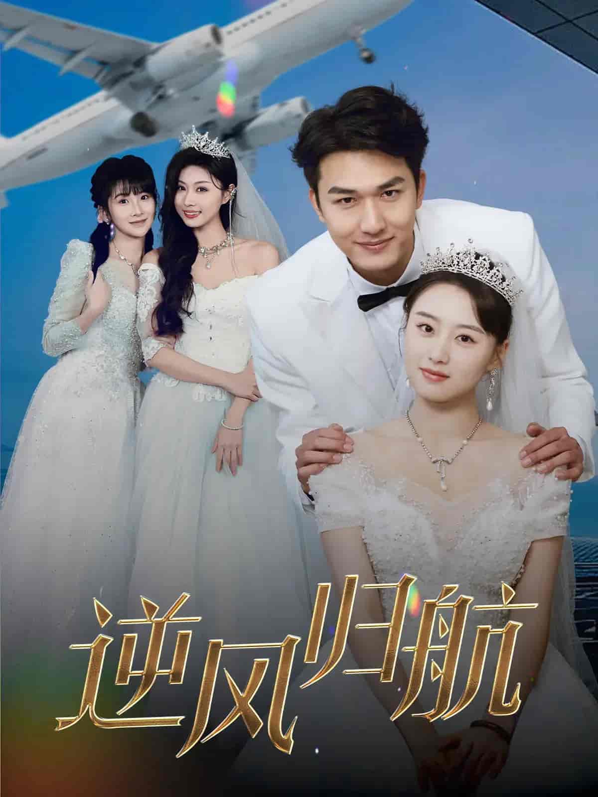 逆风归航第31-55集(大结局)