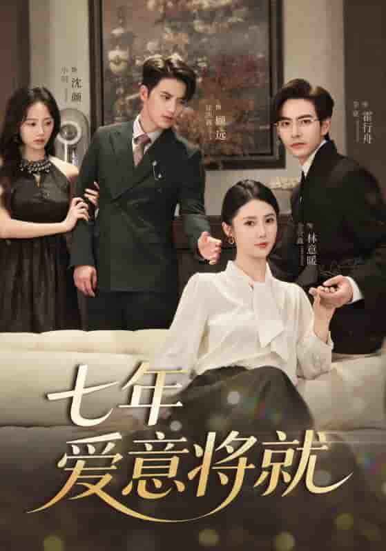 七年爱意将就第01-30集