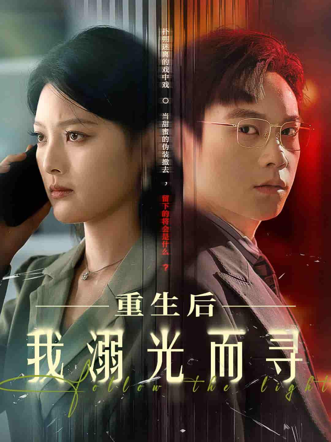 重生后我溺光而寻第31-60集(大结局)