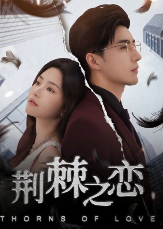 荆棘之恋第31-60集(大结局)