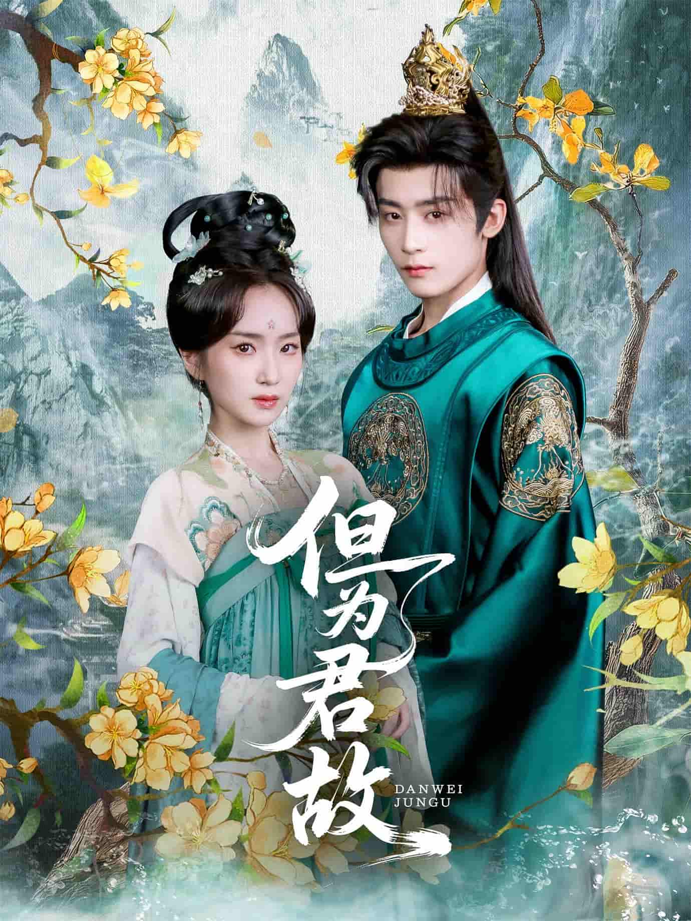 但为君故第31-59集(大结局)