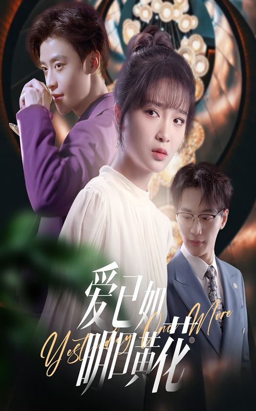 爱已如明日黄花第31-60集(大结局)