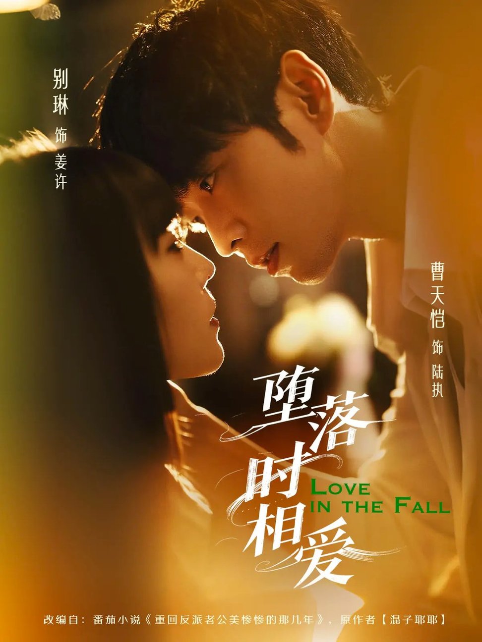 堕落时相爱第61-80集(大结局)