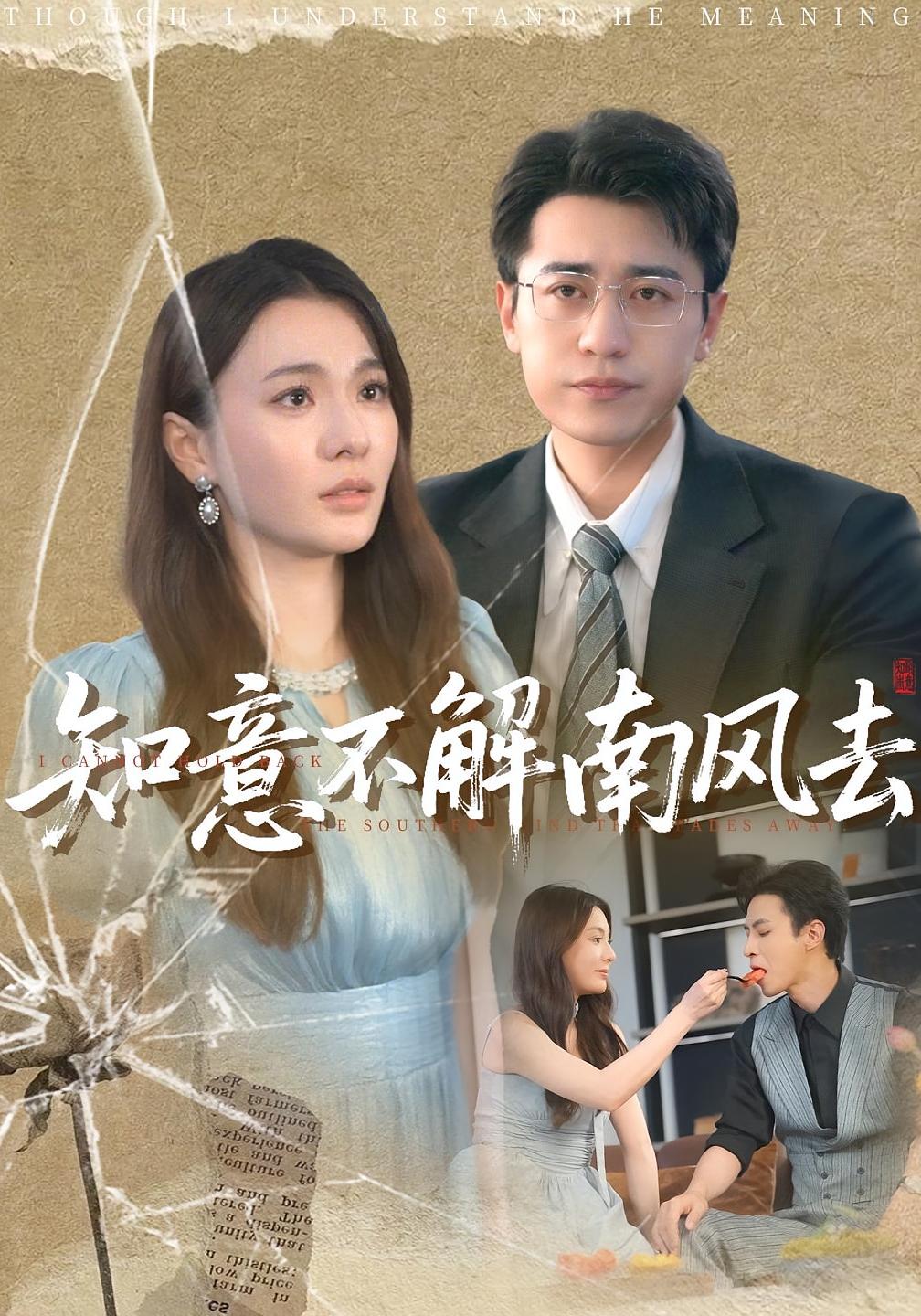 知意不解南风去第31-60集