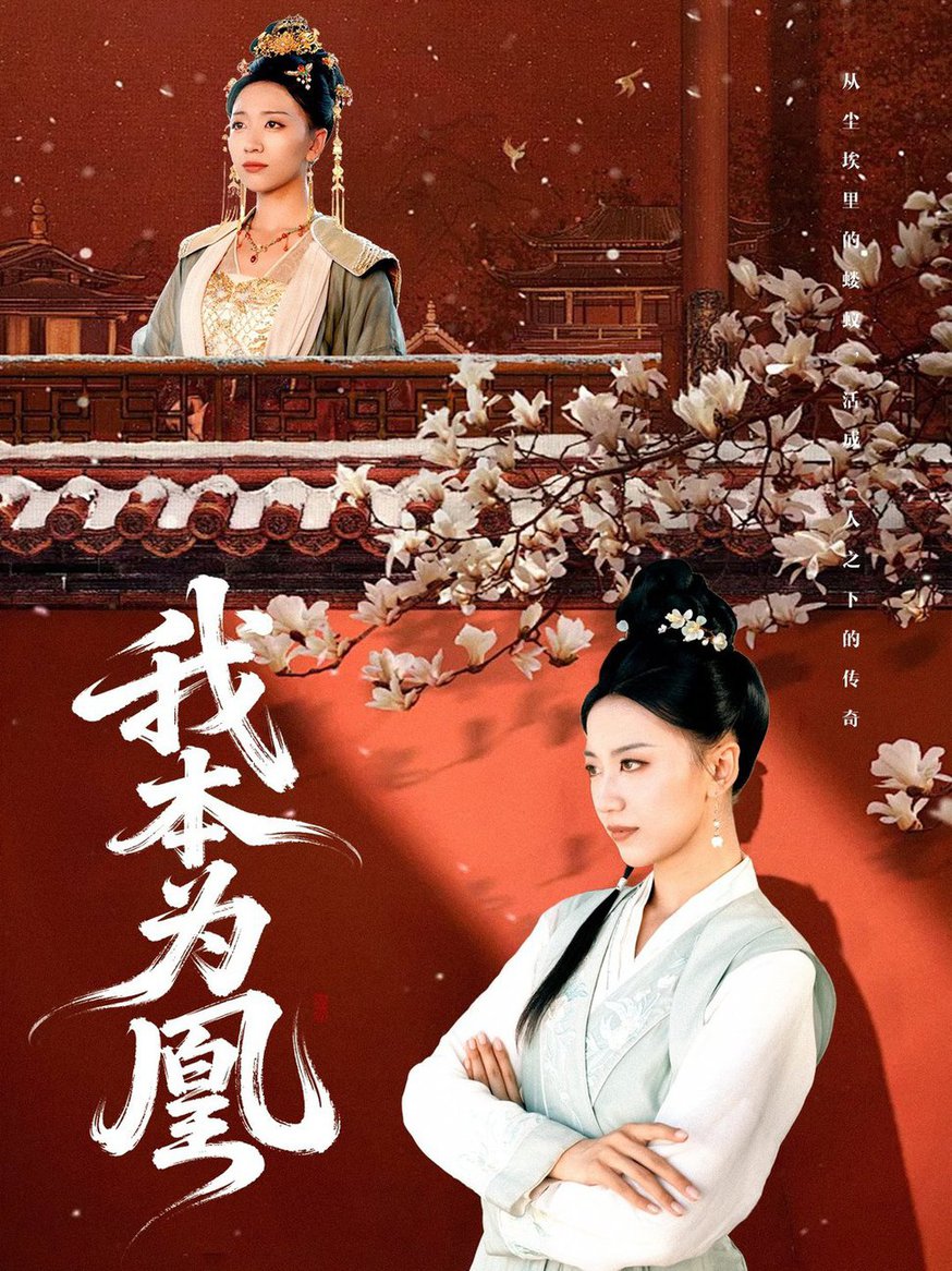 我本为凰第01-30集