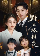 野火烬相思第31-61集(大结局)