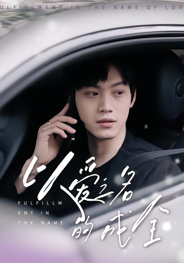 以爱之名的成全第01-14集(大结局)