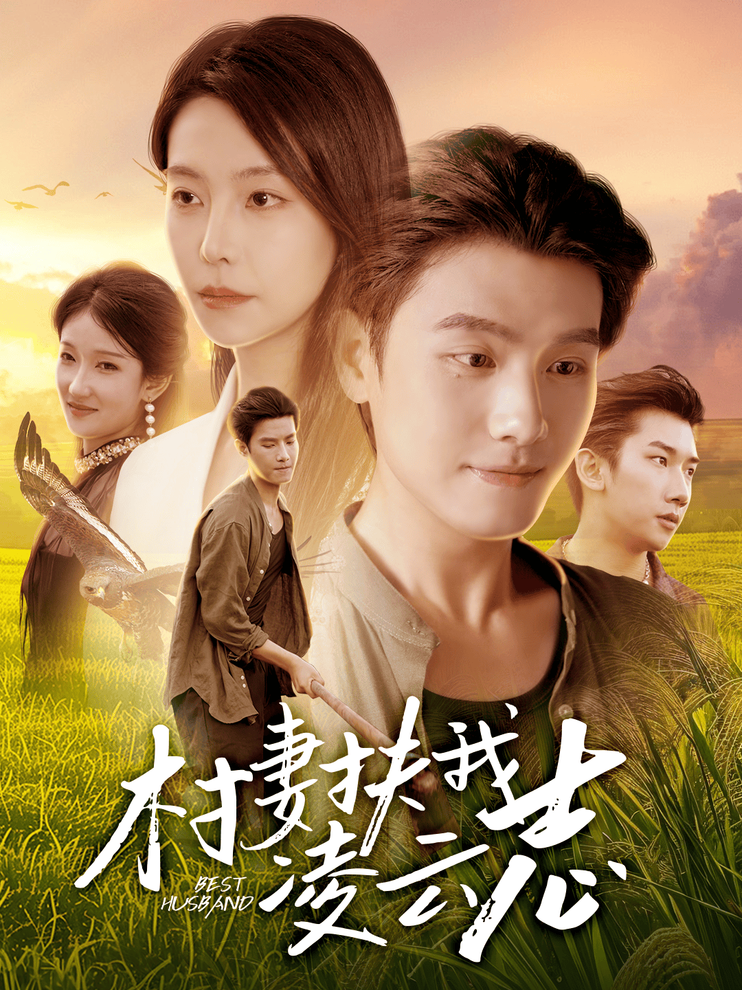 村妻扶我凌云志第31-60集