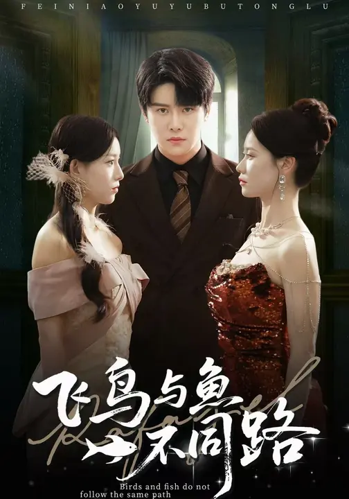 飞鸟与鱼不同路第31-60集(大结局)