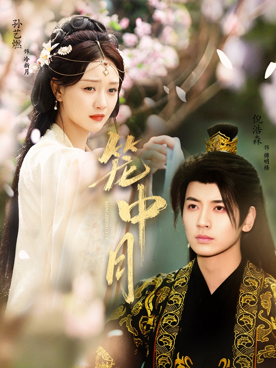 笼中月第31-65集(大结局)