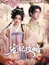 宠妃攻略第01-30集