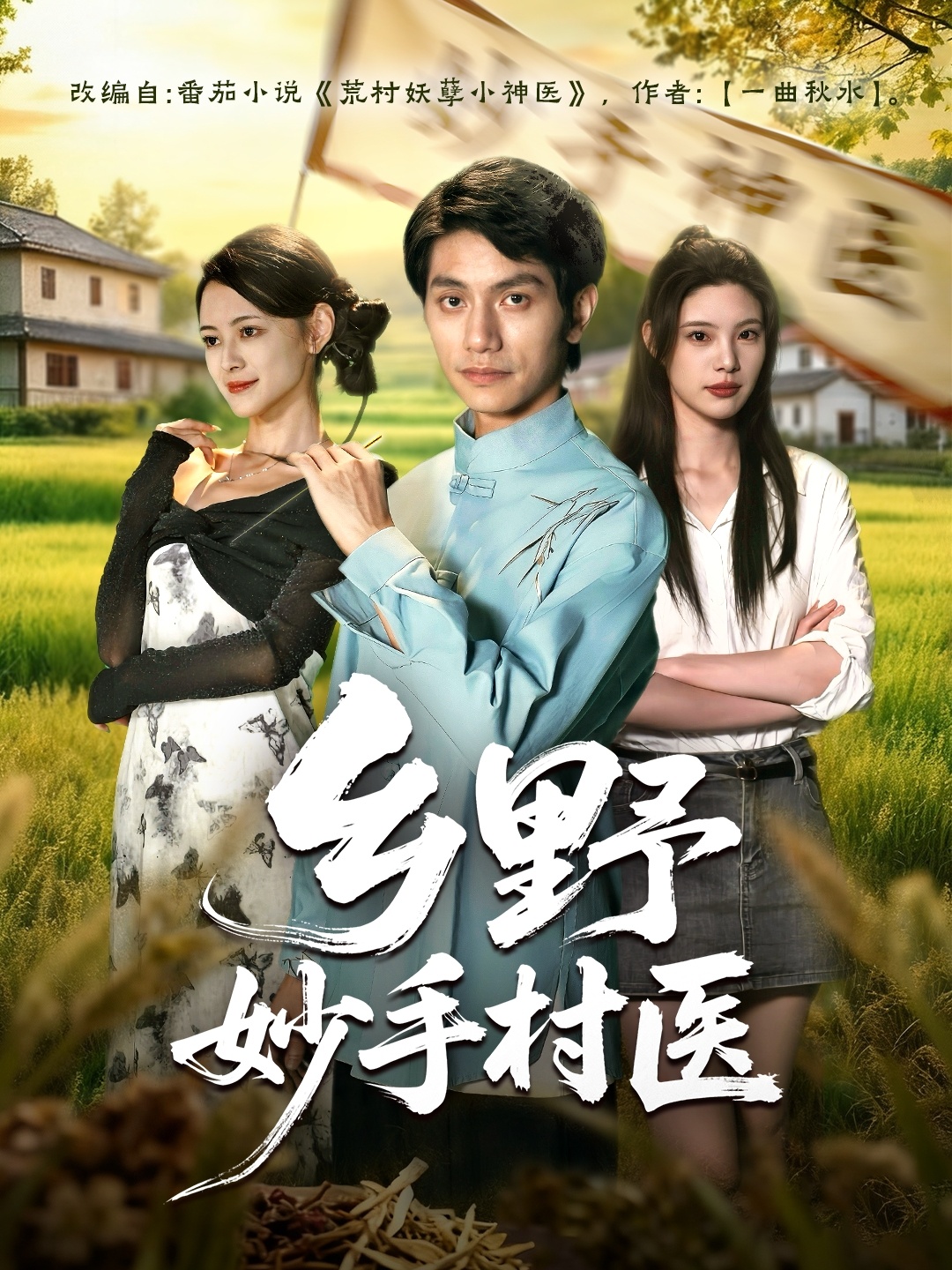 乡野妙手村医第31-60集(大结局)