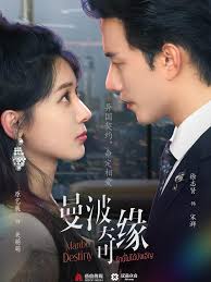 曼波奇缘第21集