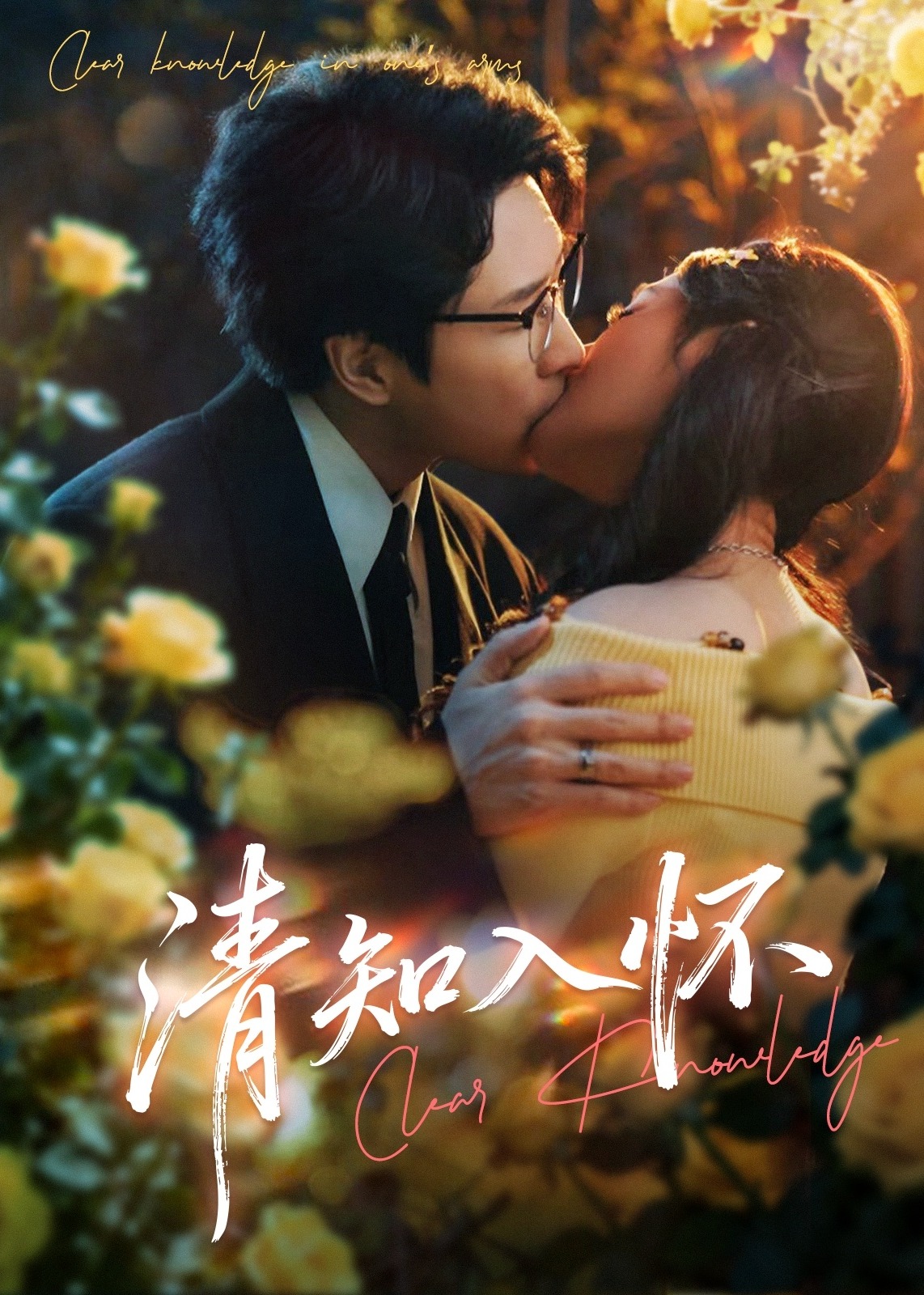 清知入怀第31-60集