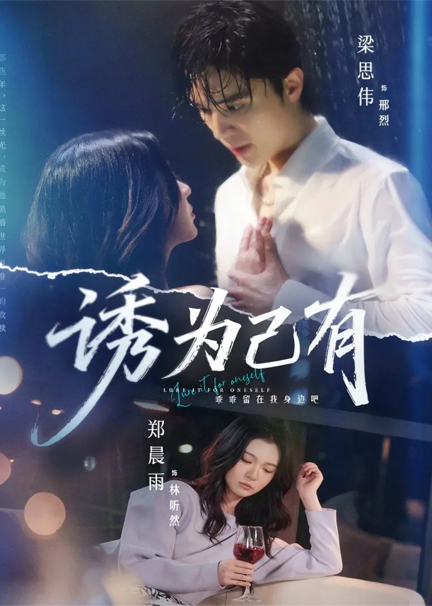 诱为己有第31-60集