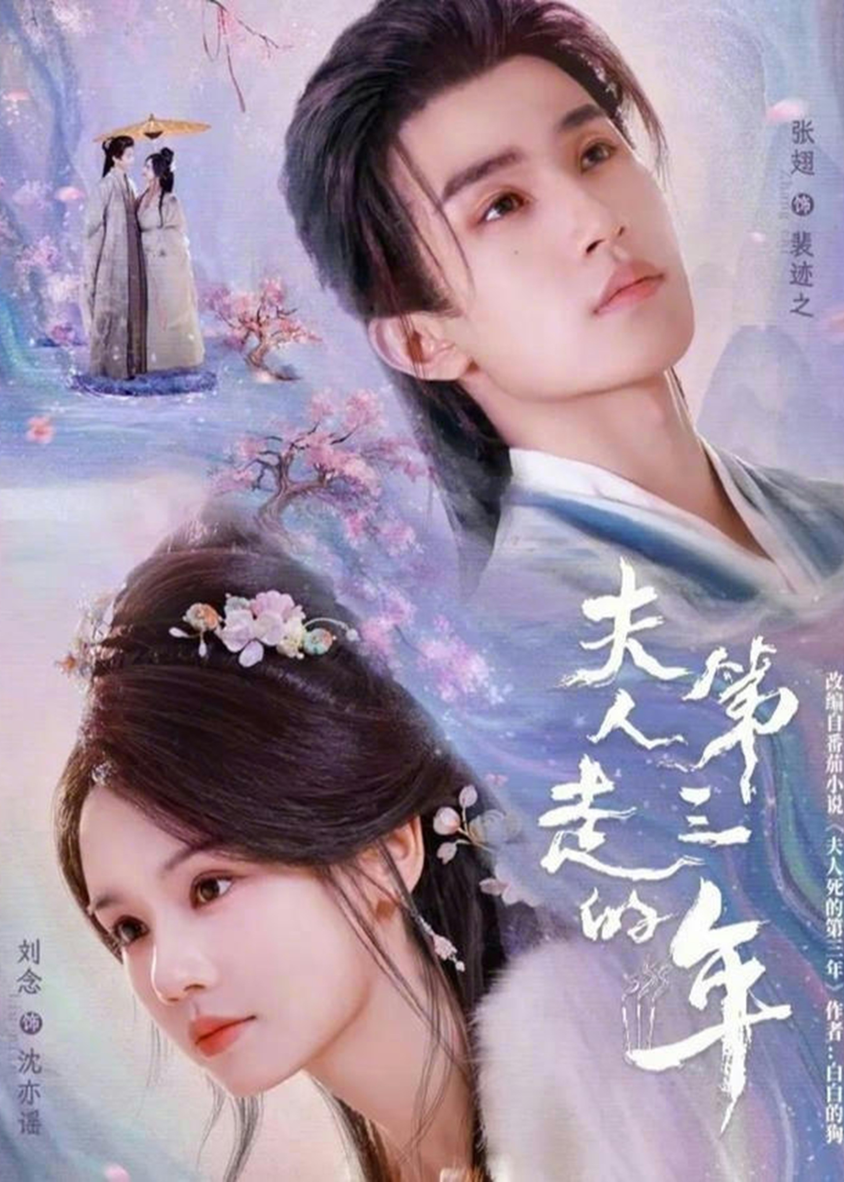 夫人走的第三年第01-30集