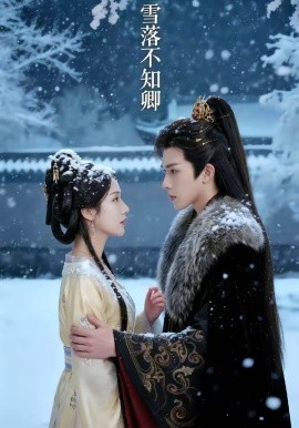雪落不知卿(全集)