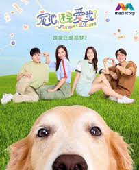 宠他，还是爱我第08集