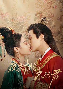 夜夜相见不识君第21集(大结局)