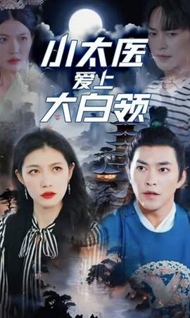 小太医爱上大白领全集(大结局)