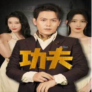 功夫 短剧版全集(大结局)