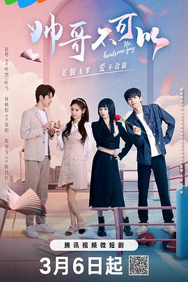 帅哥不可以第2集