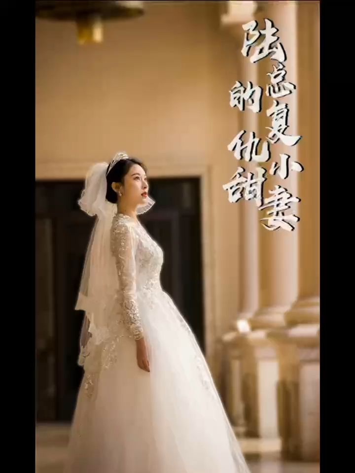 陆总的复仇小甜妻第41-60集