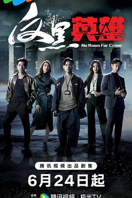 反黑英雄粤语第21集