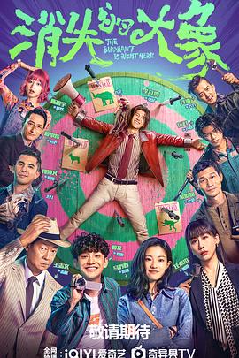 消失的大象第3集