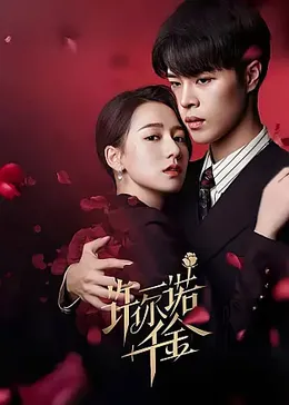 许你一诺千金第14集