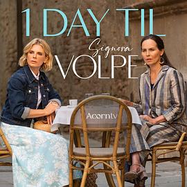 狐狸女士第二季第02集