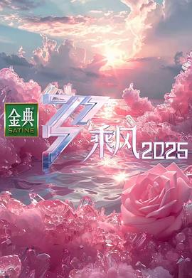 乘风202520250330