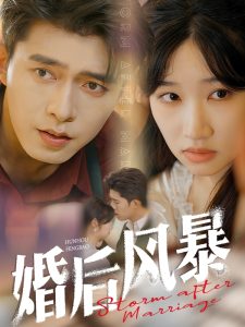 婚后风暴全集(大结局)